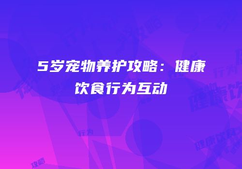 5岁宠物养护攻略：健康饮食行为互动