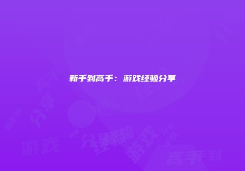 新手到高手：游戏经验分享