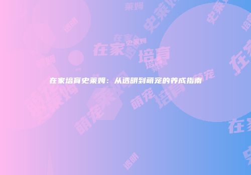 在家培育史莱姆：从透明到萌宠的养成指南