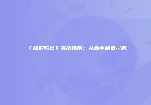 《枪的粉丝》实战指南：从新手到老司机