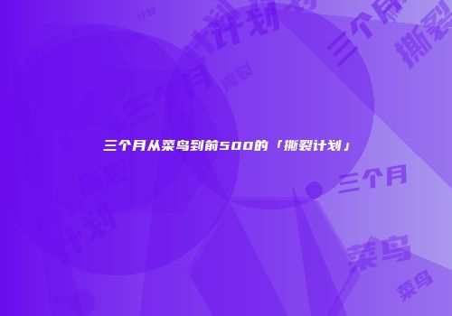 三个月从菜鸟到前500的「撕裂计划」
