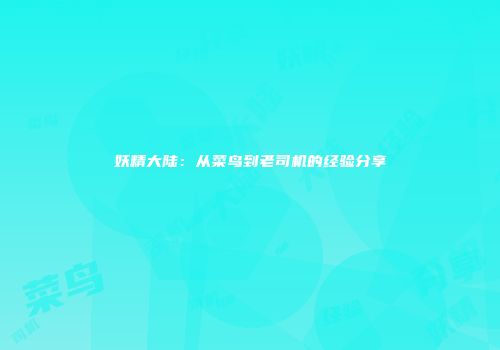 妖精大陆：从菜鸟到老司机的经验分享