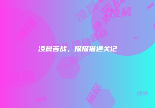 凌晨苦战，探探猫通关记