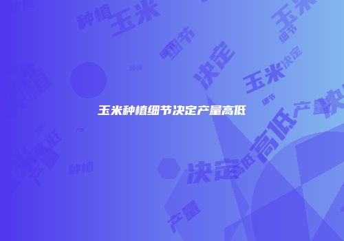 玉米种植细节决定产量高低