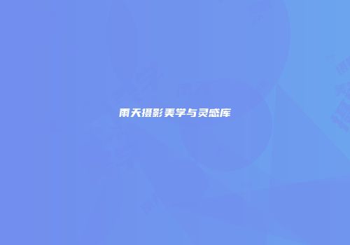 雨天摄影美学与灵感库