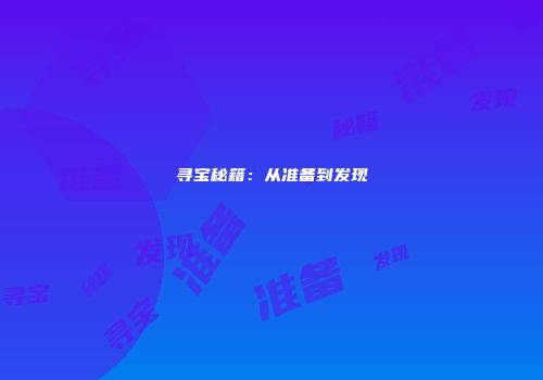 寻宝秘籍：从准备到发现