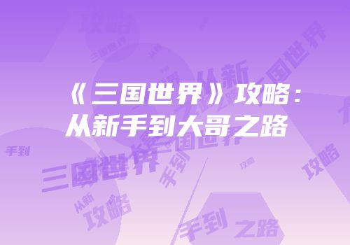 《三国世界》攻略：从新手到大哥之路