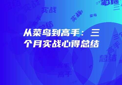 从菜鸟到高手：三个月实战心得总结