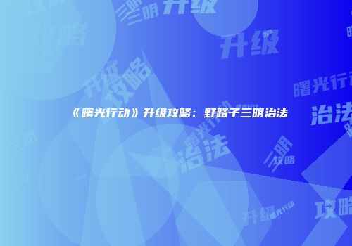 《曙光行动》升级攻略：野路子三明治法
