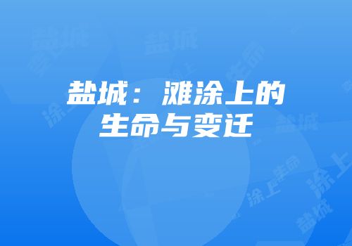 盐城：滩涂上的生命与变迁