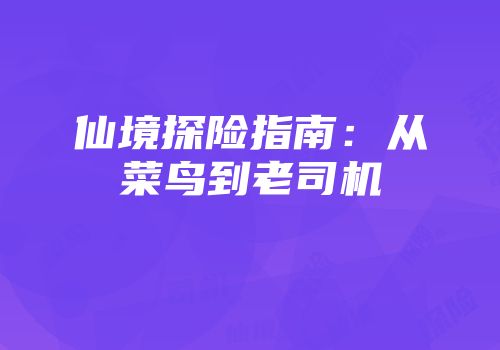 仙境探险指南：从菜鸟到老司机