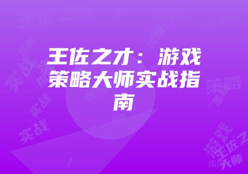 王佐之才：游戏策略大师实战指南