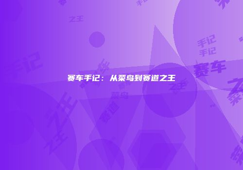 赛车手记：从菜鸟到赛道之王