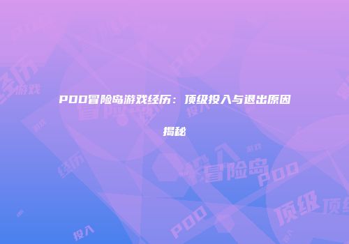 PDD冒险岛游戏经历：顶级投入与退出原因揭秘