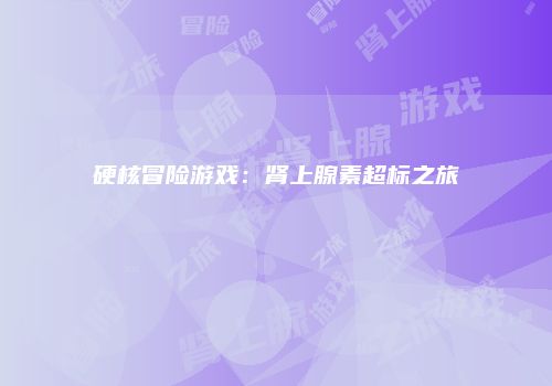 硬核冒险游戏：肾上腺素超标之旅