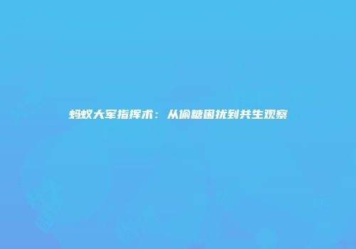 蚂蚁大军指挥术：从偷糖困扰到共生观察