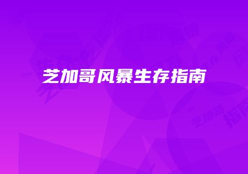 芝加哥风暴生存指南