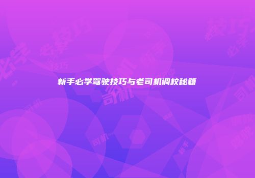新手必学驾驶技巧与老司机调校秘籍