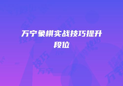 万宁象棋实战技巧提升段位