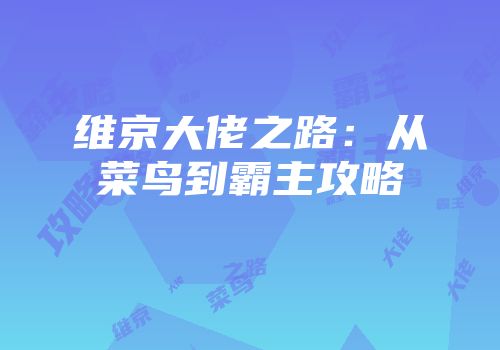 维京大佬之路：从菜鸟到霸主攻略