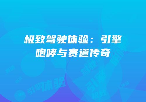 极致驾驶体验：引擎咆哮与赛道传奇