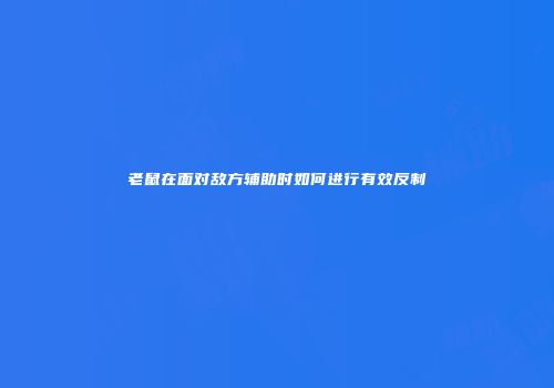 老鼠在面对敌方辅助时如何进行有效反制