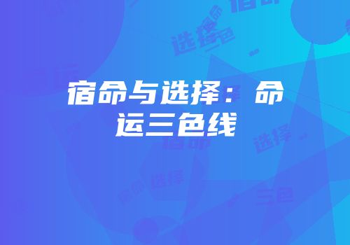 宿命与选择：命运三色线