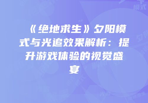 《绝地求生》夕阳模式与光追效果解析：提升游戏体验的视觉盛宴