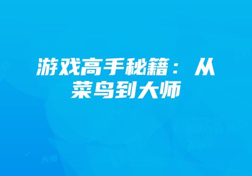 游戏高手秘籍：从菜鸟到大师
