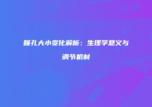 瞳孔大小变化解析：生理学意义与调节机制