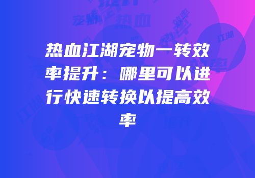 热血江湖宠物一转效率提升：哪里可以进行快速转换以提高效率