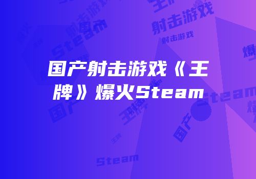 国产射击游戏《王牌》爆火Steam
