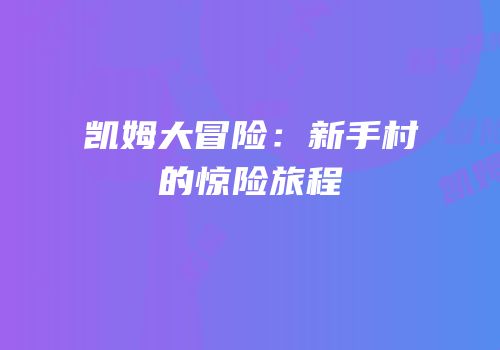 凯姆大冒险：新手村的惊险旅程