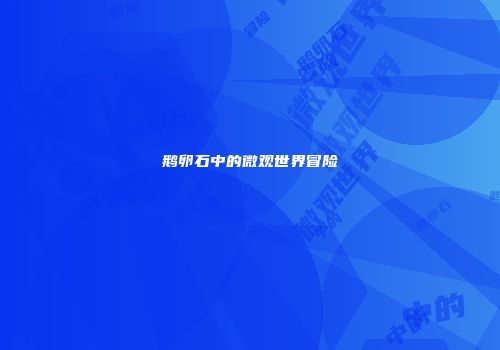 鹅卵石中的微观世界冒险