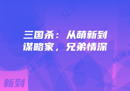 三国杀：从萌新到谋略家，兄弟情深