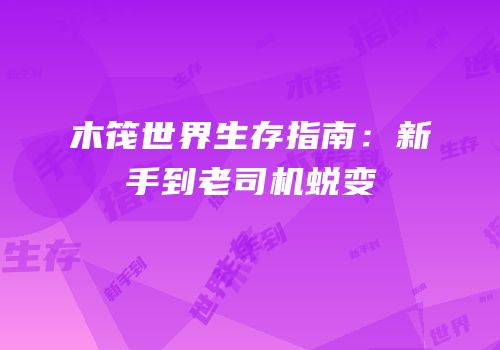 木筏世界生存指南：新手到老司机蜕变