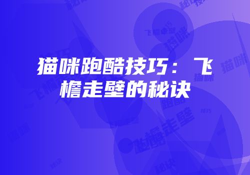 猫咪跑酷技巧：飞檐走壁的秘诀