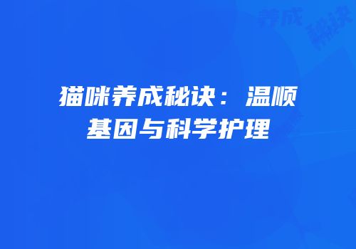 猫咪养成秘诀：温顺基因与科学护理