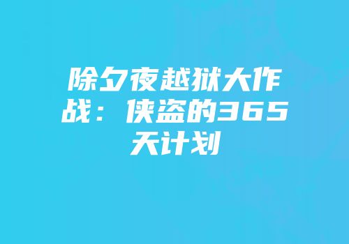 除夕夜越狱大作战：侠盗的365天计划