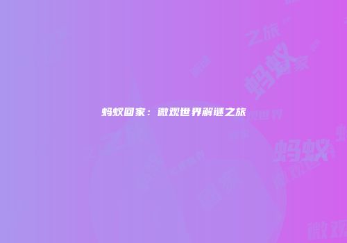 蚂蚁回家：微观世界解谜之旅