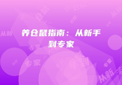 养仓鼠指南：从新手到专家