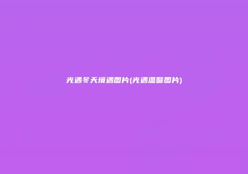 光遇冬天境遇图片(光遇温馨图片)