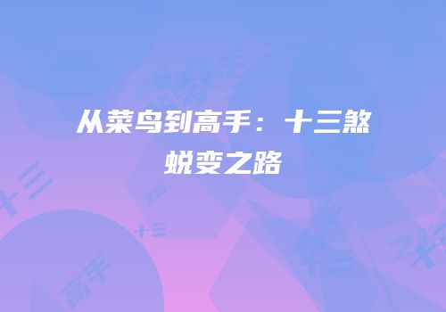 从菜鸟到高手：十三煞蜕变之路