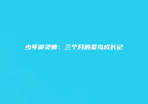 少年御灵师：三个月的菜鸟成长记