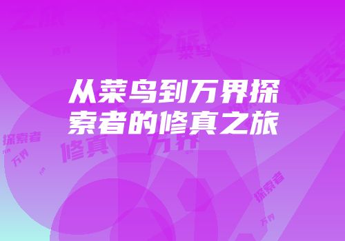 从菜鸟到万界探索者的修真之旅