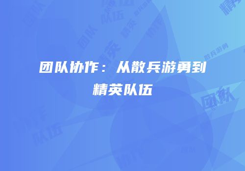 团队协作：从散兵游勇到精英队伍