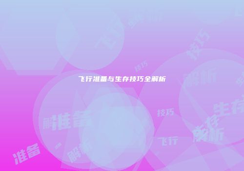飞行准备与生存技巧全解析