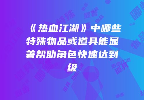《热血江湖》中哪些特殊物品或道具能显著帮助角色快速达到级