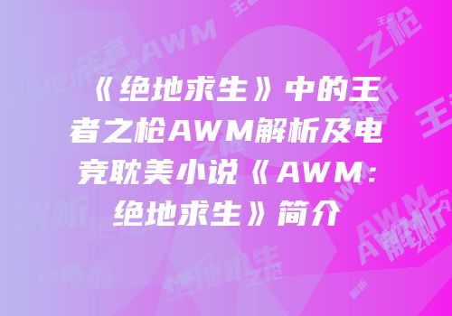《绝地求生》中的王者之枪AWM解析及电竞耽美小说《AWM：绝地求生》简介