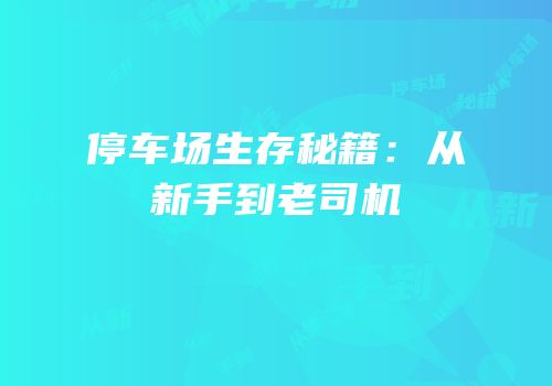 停车场生存秘籍：从新手到老司机